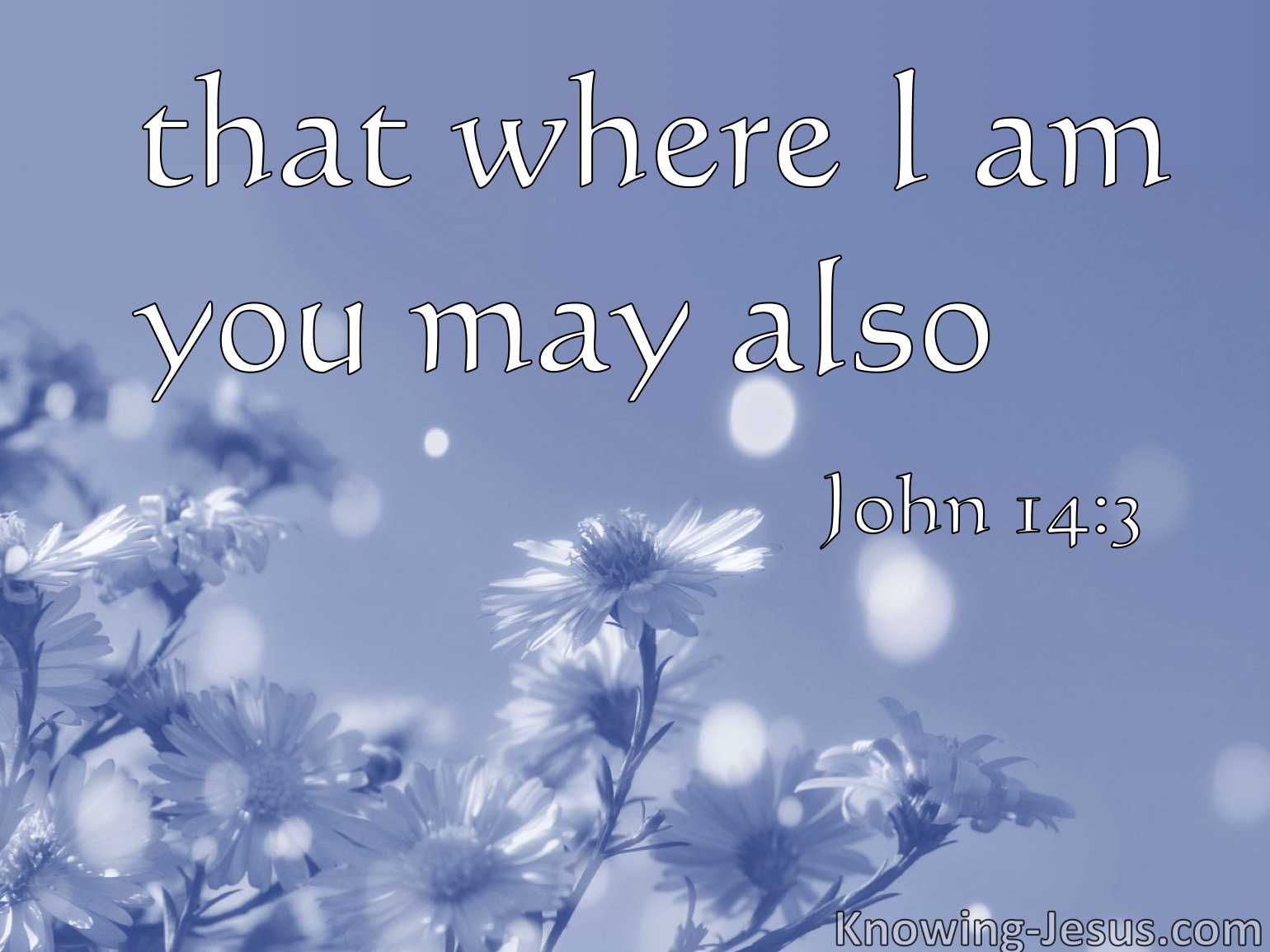 John 14 3 Meaning John 14 3 Meaning